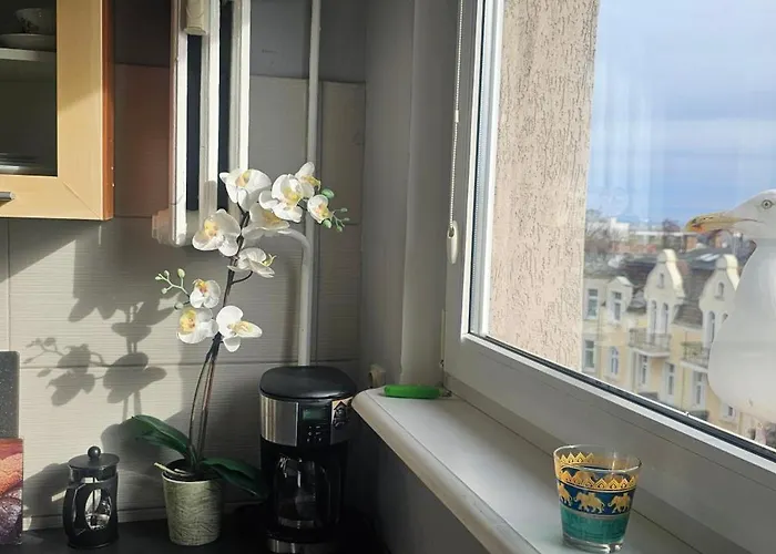 Stylish In Lower Part Of Sopot! アパート ソポト